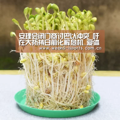安理会闭门商讨巴以冲突 吁在大祈祷日前化解危机_爱体育入口