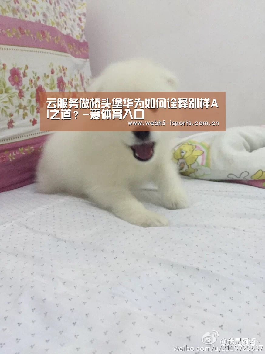 云服务做桥头堡华为如何诠释别样AI之道？-爱体育入口