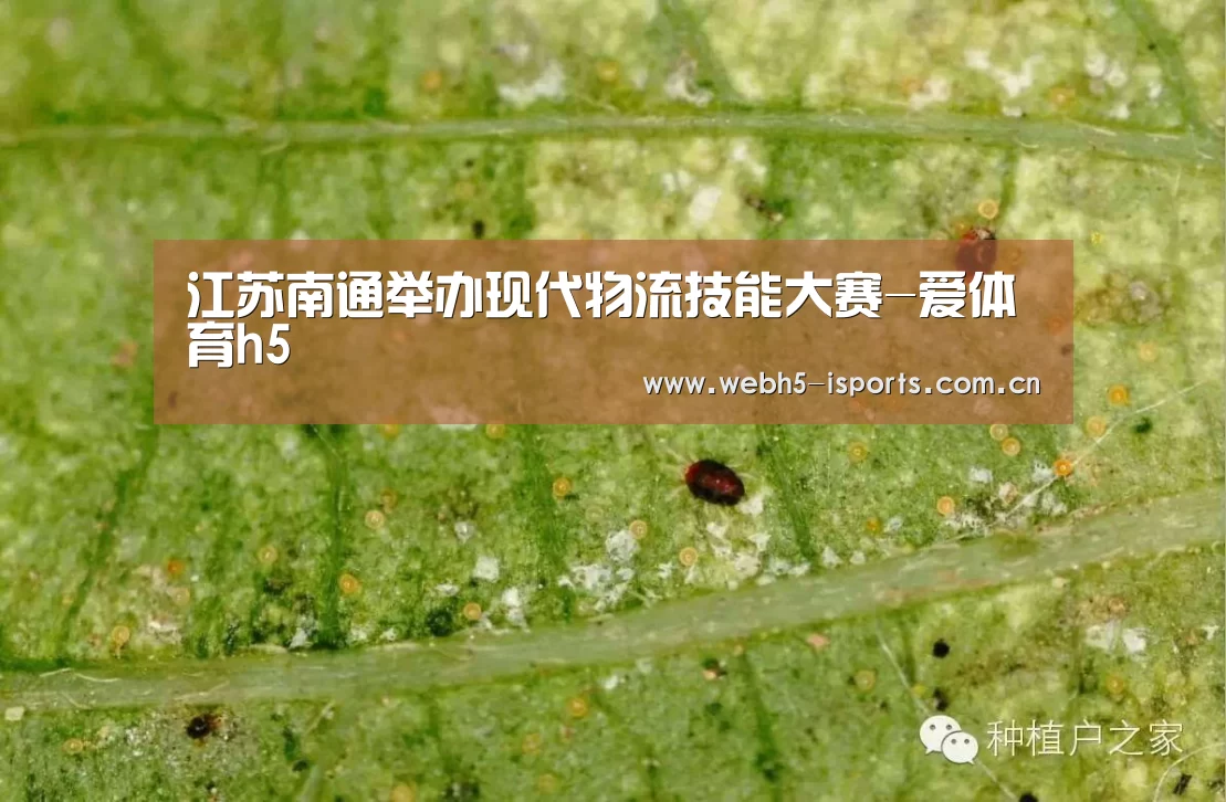 江苏南通举办现代物流技能大赛-爱体育h5